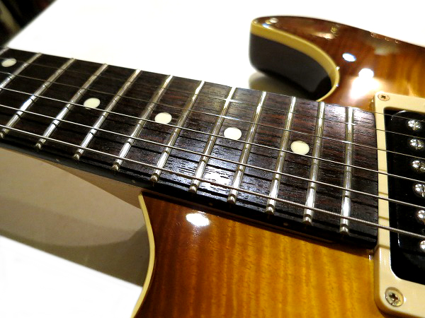 Anboy（フジゲン）AN-25 状態良好・メンテ調整済 Anboy AN-25 (その0